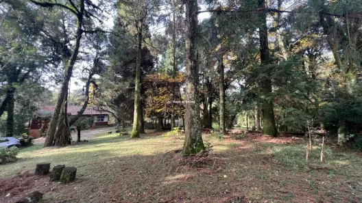 Lote/Terreno à venda, 2712m² no Maggi, Canela