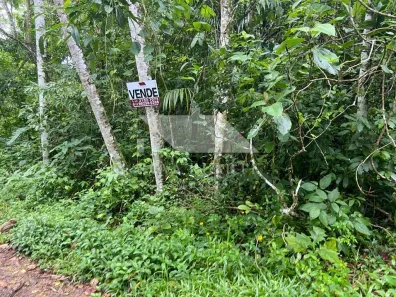 Lote/Terreno à venda, 390m² no Getuba, Caraguatatuba
