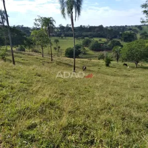Fazenda/Sítio à venda, 150000m² no Área Rural de Goiânia, Goiânia