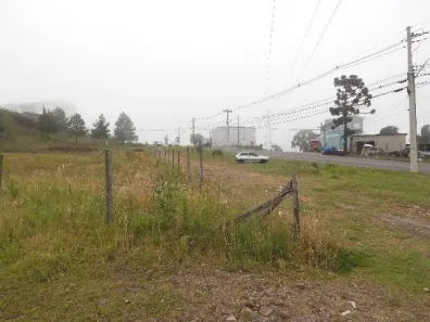 Lote/Terreno para alugar, 440m² no Charqueadas, Caxias do Sul