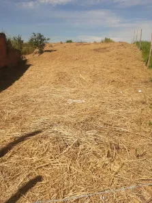Lote/Terreno à venda, 598m² no Vila Orlandelia, Barra Mansa