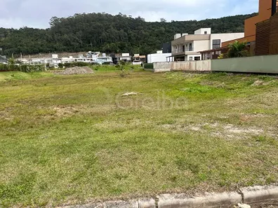 Lote/Terreno à venda, 458m² no Ingleses do Rio Vermelho, Florianópolis
