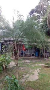 Fazenda/Sítio com 1 Quarto à venda, 40m² no Mantiqueira, Mairiporã