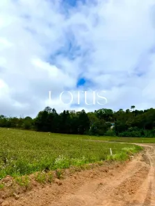 Lote/Terreno à venda, 500m² no Centro, Cotia