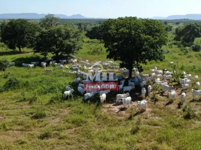 Fazenda/Sítio à venda, 500m² no , Monte Alegre de Goiás