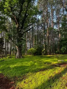 Lote/Terreno à venda, 1000m² no , Mairinque