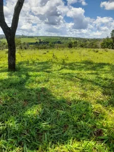 Fazenda/Sítio à venda, 48000m² no Área Rural de Uberlândia, Uberlândia
