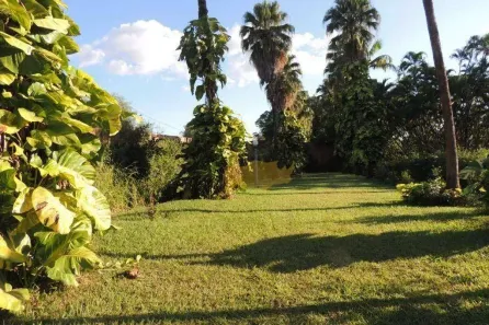 Lote/Terreno à venda, 915m² no Jardim do Horto, Rio Claro
