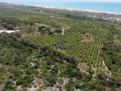 Fazenda/Sítio à venda, 640000m² no , Conde