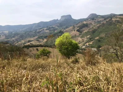 Lote/Terreno à venda, 7000m² no , São Bento do Sapucaí