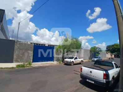 Casa com 3 Quartos para alugar, 310m² no Umuarama, Uberlândia