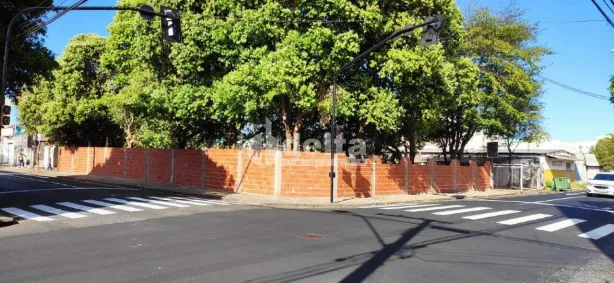 Lote/Terreno para alugar, 1200m² no Martins, Uberlândia