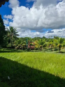 Fazenda/Sítio com 3 Quartos à venda, 19000m² no Olivença, Ilhéus