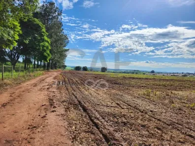 à venda, 169400m² no São João dos Pinheiros, Artur Nogueira