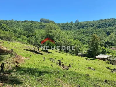 Fazenda/Sítio com 1 Quarto à venda, 40000m² no Centro, Três Coroas