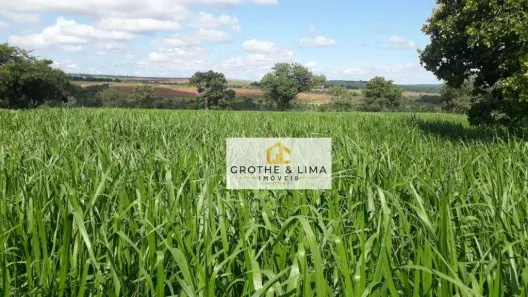 Fazenda/Sítio à venda, 1000m² no , Água Clara