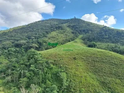 Fazenda/Sítio com 4 Quartos à venda, 30000m² no , Monteiro Lobato