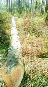 Fazenda/Sítio com 1 Quarto à venda, 2574880m² no Área Rural de Guaratinguetá, Guaratinguetá