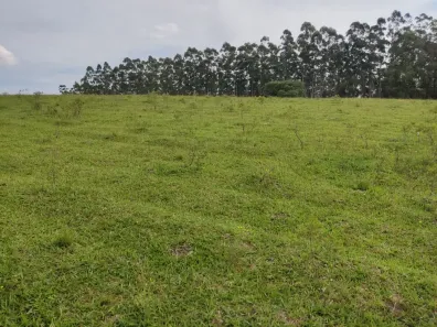 Fazenda/Sítio com 3 Quartos à venda, 95m² no , São Miguel Arcanjo