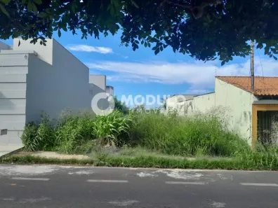Lote/Terreno à venda, 420m² no Custódio Pereira, Uberlândia