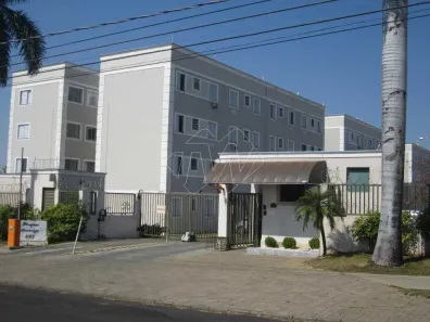 Apartamento com 2 Quartos à venda, 44m² no Jardim Primor, Araraquara