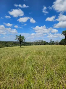 Fazenda/Sítio à venda, 287375m² no Nova Brasília, Alagoinhas