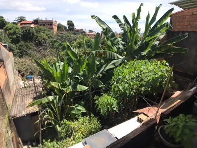 Lote/Terreno à venda, 651m² no Palmeiras, Belo Horizonte