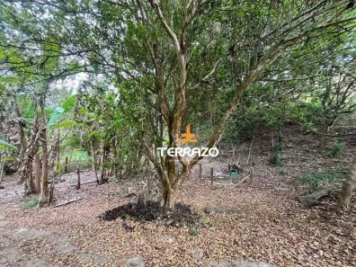 Fazenda/Sítio com 1 Quarto à venda, 3600m² no Califórnia da Barra, Barra do Piraí