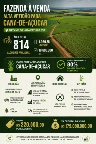 Fazenda/Sítio à venda, 19698800m² no Parque Industrial II, Araçatuba