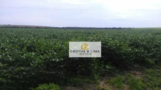 Fazenda/Sítio com 18 Quartos à venda, 700m² no Dom Orione, Araguaína
