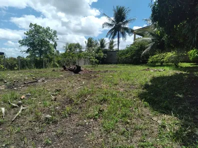 Lote/Terreno à venda, 3000m² no Rural, Paudalho