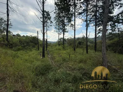 Lote/Terreno à venda, 315m² no Canjica (Terra Preta), Mairiporã