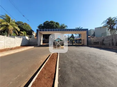 Apartamento com 3 Quartos para alugar, 75m² no Jardim Patrícia, Uberlândia