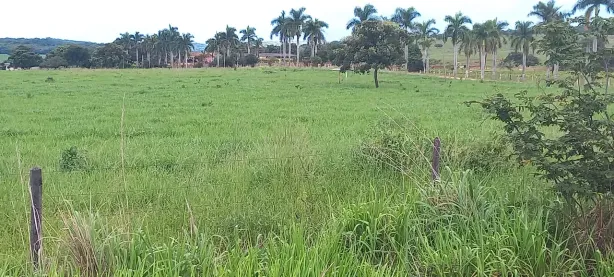 Fazenda/Sítio à venda, 20000m² no Zona Rural, Paraopeba