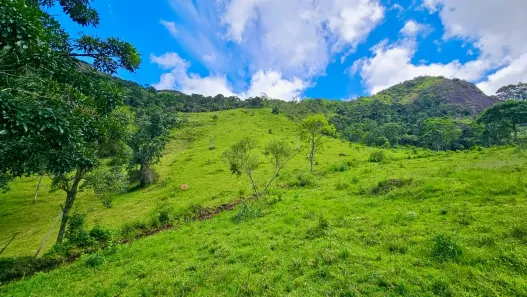 Lote/Terreno à venda, 28600m² no , Gonçalves