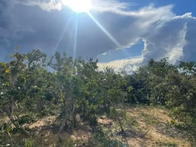Lote/Terreno à venda, 1000m² no Almeida, Jaboticatubas