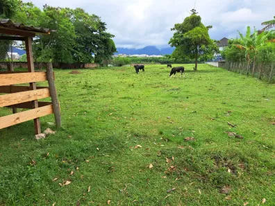 Lote/Terreno com 1 Quarto à venda, 12500m² no Recreio dos Bandeirantes, Rio de Janeiro