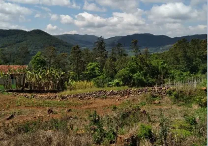 Fazenda/Sítio à venda, 2200m² no Fazenda Padre Eterno, Morro Reuter