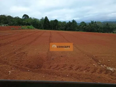 Lote/Terreno à venda, 1000m² no Ipelândia, Suzano