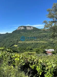 Fazenda/Sítio à venda, 20000m² no São Pedro da Terceira Légua, Caxias do Sul
