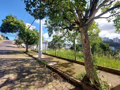 Lote/Terreno à venda, 558m² no São Francisco, Bento Gonçalves
