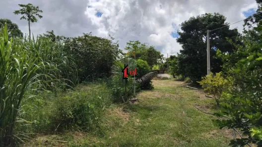 Fazenda/Sítio com 3 Quartos à venda, 100m² no Montalvão, Presidente Prudente