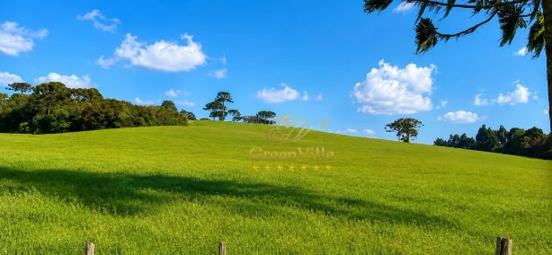 Fazenda/Sítio com 3 Quartos à venda, 1103147m² no Centro, Lapa