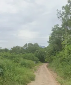 Lote/Terreno à venda, 320m² no Manguinhos, Serra