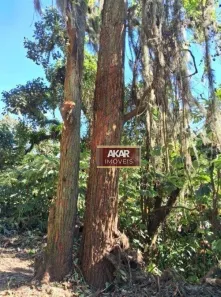Lote/Terreno à venda, 2632m² no Balneária, São Bernardo do Campo