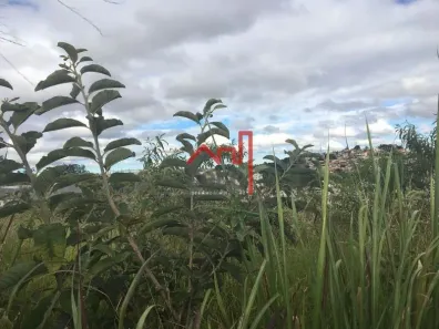 Lote/Terreno à venda, 1800m² no Buritis, Belo Horizonte