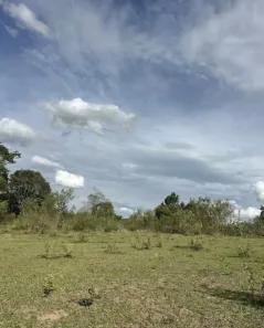 Lote/Terreno à venda, 1000m² no , Mairinque
