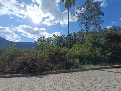 Lote/Terreno à venda, 420m² no Kaffee Eck, Picada Café