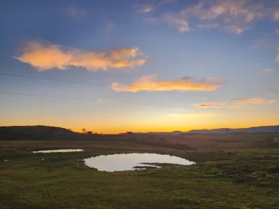 Fazenda/Sítio à venda, 20000m² no , Urupema
