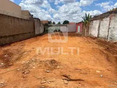 Lote/Terreno com 1 Quarto à venda, 223m² no Custódio Pereira, Uberlândia